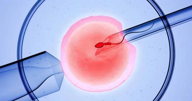 南京捐卵高薪招聘